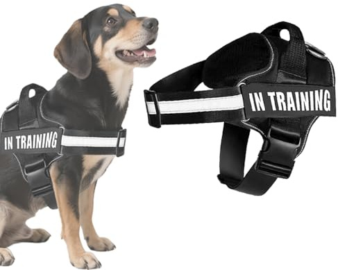 BMYUK Anti-Zieh-Hundegeschirr, reflektierende Elemente, Karabiner-Design, verstellbar, atmungsaktiv, geeignet für Hundespaziergänge, Training, Outdoor-Aktivitäten