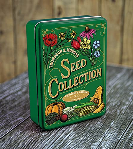Vintage Green Seeds Storage Tin x1 Perfect for Garden Necessities For Garden Plants by Thompson and Morgan