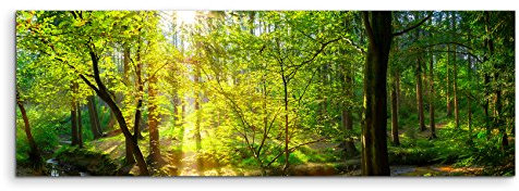 Wandbild 120x40cm Landschaftsfotografie – Waldbach in der Sonne auf Leinwand für Wohnzimmer, Büro, Schlafzimmer, Ferienwohnung u.v.m. Gestochen scharf in Top Qualität