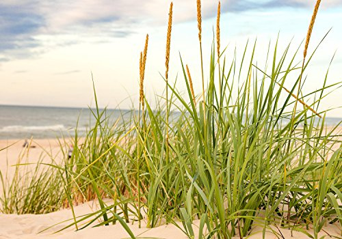 wandmotiv24 Fototapete Strand, XXL 400 x 280 cm - 8 Teile, Wanddeko, Wandbild, Wandtapete, Meer, Sand, Urlaub M0927