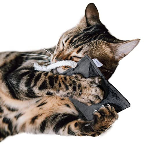 CanadianCat Company | nachhaltiges Katzenspielzeug Schmusekissen mit Seil mit 5g Baldrian Premium Füllung | Faire Handarbeit für Deine Katze | Knuddelkissen für Katzen