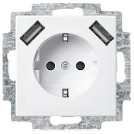 Busch-Jaeger 20 EUCB2USB-914 SCHUKO®-/2x USB-Steckdose Alpinweiß 2CKA002011A6266