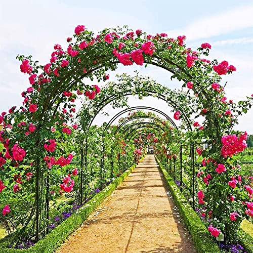 Arche Jardin Aluminium Largeur, Arche À Rosiers Métal, Filet À Plantes Grimpantes, Filet de Treillis, pour Récolte de Concombres, Légume, Vignes, Plantes Grimpantes,140x230x40CM