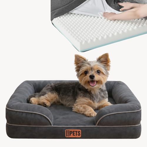 CORTES PETS Ortopedisk hundbädd för små hundar 61x48 cm – hundkorg – hundkudde – tvättbar – med upphöjda kanter – hundsoffa för små hundar – memory foam – vattentäta hundbäddar