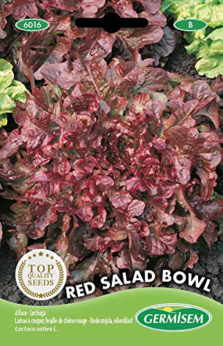 Germisem Red Salad Bowl Semi di Lattuga 4 g