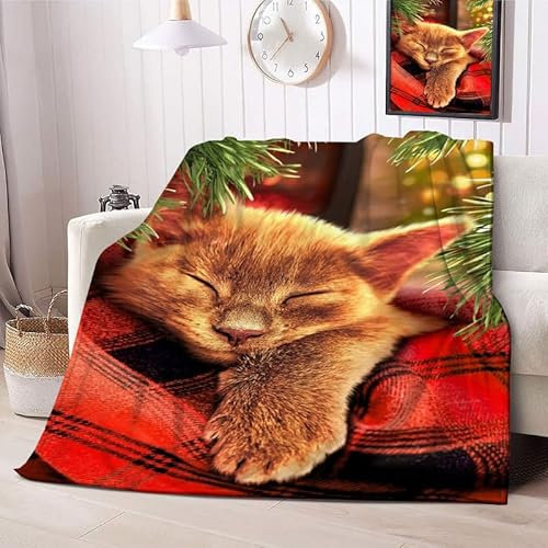 Kuscheldecke Flauschig Decke 220x240 3D Süß Warm Flanell Fleecedecke Rote Karierte Katze für Sofa und Bett, Weich Gemütlich Wohndecke als Tagesdecke Sofadecke Kniedecke