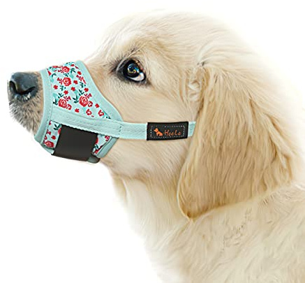 HEELE Hund Munkorg Mesh Andas, Fint Mönster, Munkorgar för Hund med Justerbar Loop för Sma Hundar, Cyan Blomma, XS