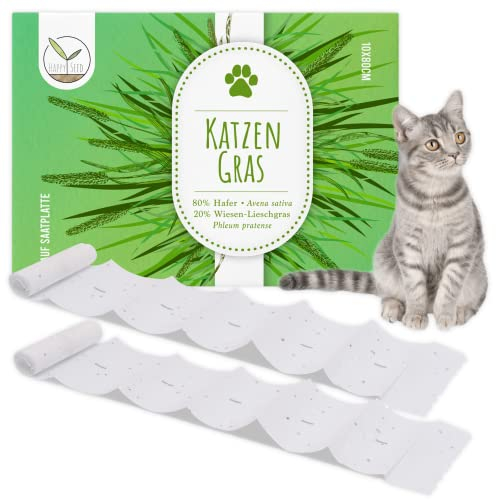 HappySeed Katzengras Samen Saatband 80 x 10 cm - Verdauungsförderndes Katzengras ganzjährig für alle Katzen geeignet