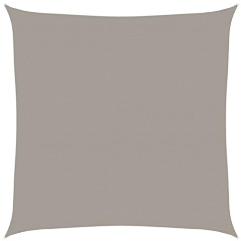 vidaXL Toldo de Vela Cuadrado HDPE Gris Claro 160 g/m² 6x6 m