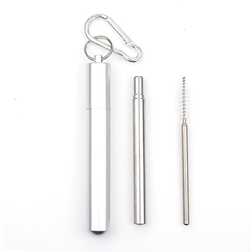 BANGHA Cannucce Metallo 10Set Portatile in Acciaio Inox telescopico Cannuccia telescopica per Viaggi Riutilizzabile Paglia di Metallo Pieghevole con Custodia e Spazzola Cannucce Acciaio Inox