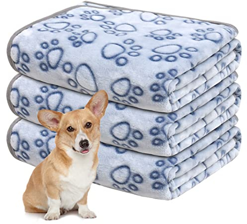 Gorgelly 1 Pack 3 Hundedecke Weiche Haustierdecke Waschbar,60x80cm | Kuscheldecke Flauschig für Kleine Mittlere Hunde Katzen, Sofaschoner für Hunde, Hundedecke für Unterwegs
