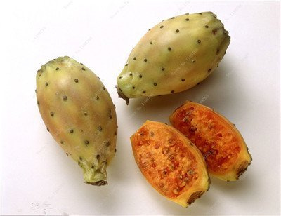 Graines de figue de Barbarie Opuntia Cactus rare sucré et très nutritif Fruits sains comestibles Jardin de fleurs Bonsaï Plante succulente