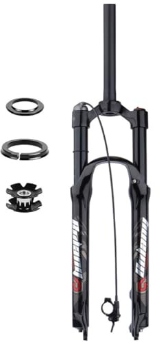 HOMSXPAC Fourche VTT 26/27,5/29 Pouces à air, Freins à Disque, débattement de 100 mm, Tube Droit, Blocage au Guidon, axe QR 9 mm (Couleur：Noir, Taille 29 Pouces).