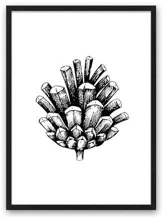 Din A4 Kunstdruck ohne Rahmen - Tannenzapfen - Kieferzapfen - Kiefer Baum Frucht Natur Grafik Druck Poster Bild