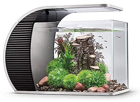 hygger Acquario 19 Litri, Acquario per Pesci con 3.2W Luce Led, 5W Pompa Acqua, Scatola Filtraggio Nascosta, Bocca d'anatra Uscita, Copertura in Vetro