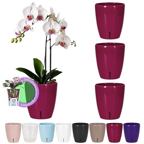 Santino ORCHIDEA Lot de 4 Pots à Orchidée avec Système de Mèche et Indicateur de Niveau d'eau (Diamètre: 12 cm, 1,3 L, Mauve)