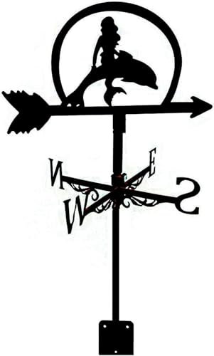 Banderuola, banderuola da giardino, banderuola in acciaio inox, indicatore di direzione del vento per montaggio su tetto esterno, strumento di misurazione del vento per cortile, decorazione, D