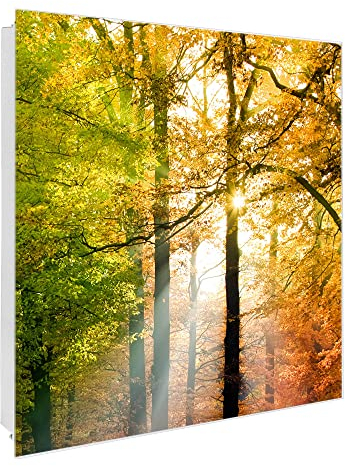 banjado Großer Schlüsselkasten Glas - Schlüsselbox 30x30cm mit 50 Haken - Schlüsselkasten modern für Schlüsselaufbewahrung mit beschreibbarer, magnetischer Glastür - Motiv Herbstwald