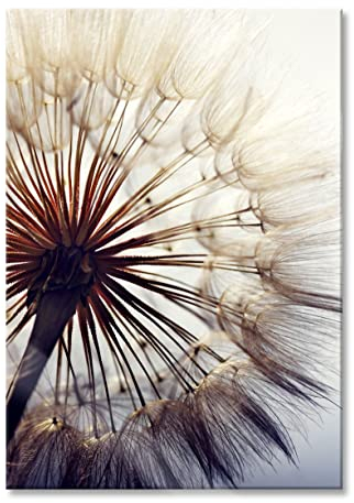 Pixxprint Glasbild, Wandbild aus Echtglas, Schöne Pusteblume, 60x80 cm, inkl. Aufhängung und Abstandshalter
