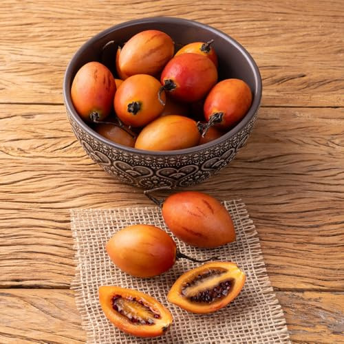 200 piezas semillas de tamarillo, tomate invierno jardín resistentes