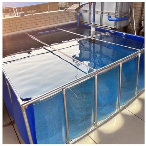 Estanque de Peces Elevado de Gran tamaño con Ventana Transparente, Revestimiento de Lona de PVC y Estructura de Acero. Ideal para la cría de koi (140 x 70 x 61 cm). Acuario de Exterior durad