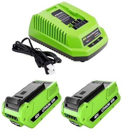Hastia 40V 6000mAh Lithium-Ion Battery and Charger Replacement for Greenworks 40V Battery 6.0Ah and Charger Compatible with Greenworks 40 Volt Tools