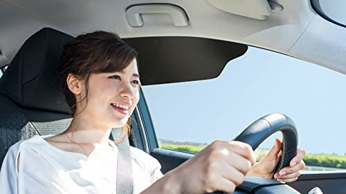TuckVisor Windshield Sunshade For Car Sun Window Shade Visor Shades Sunshade Visors Extender (2 pack)