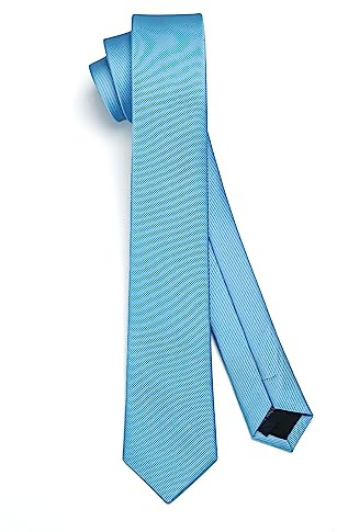 HISDERN Herren Krawatte Schmale Einfarbig Seide Krawatten für Herren Klassische Formelle Elegante Schlipse Hochzeit Party Business Krawatte 6cm