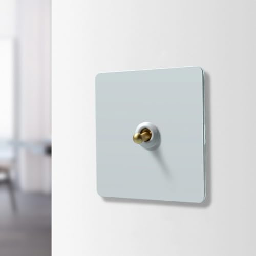 SageFurned Interruptor de luz de pared de acero inoxidable con palanca de latón, 100 x 100 mm, para control de iluminación interior en hogares, oficinas, hoteles, color blanco
