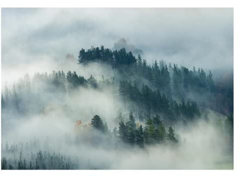Fototapete Wald im Nebel Berge Bäume Landschaft Natur - inkl. Kleister - für Wohnzimmer Schlafzimmer Flur Vlies Tapete Vliestapete Wandtapete Motivtapeten Montagefertig (368x254 cm)
