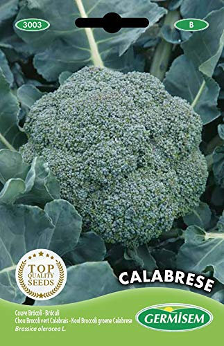 Germisem Calabrese Semi di Broccoli 3 g