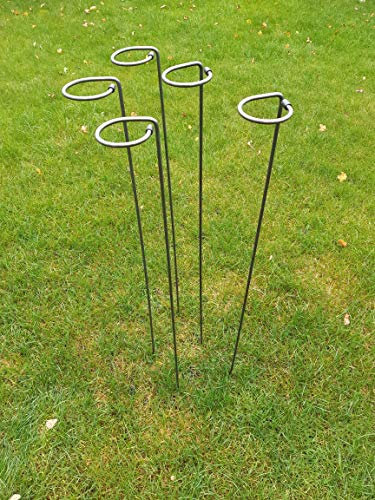Metal Plant Supports Loop Stakes 5 pack 80cm, 100cm or 130cm tall (100cm)