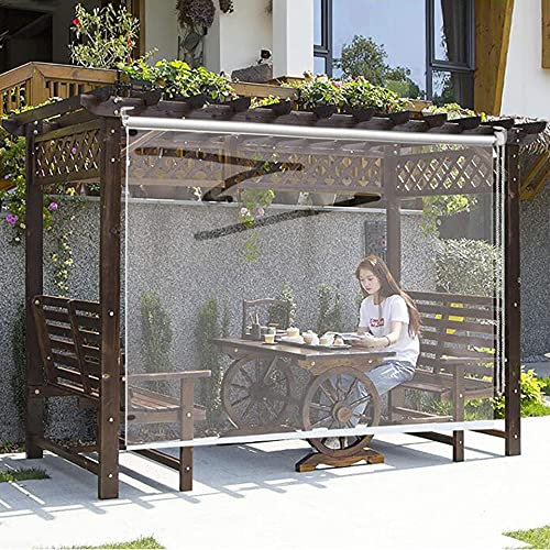 XIAOLIN 70/90/110/130/150cm Wide Waterproof Roller Blind Hotel Office Hallway，Outside Patio Transparent Roll Up Curtain Shade(Size:110x120cm)