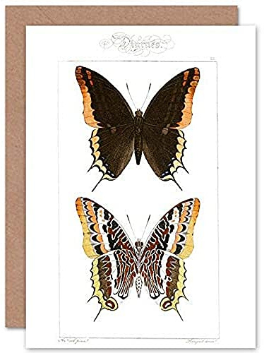 Fine Art Prints Butterflies Black and Brown Pattern Greeting Card With Envelope Inside Premium Quality