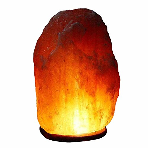 Bosalla Salz Lampe von 2 kg bis 26 kg frei wählbar Kristall Lampen Salt Range Pakistan mit Spezial Leuchtmittel und Kabel in 250 cm WEIß (12-14 kg)
