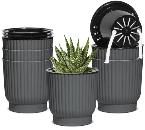 T4U 10cm Self Watering Plant Pots Indoor, 6 Pack Small Indoor Plant Pot, Grey Plastic Flower Pots, House Plant Pots for Indoor Plants, Succulent, Cactus, African Violets, Spider Plants