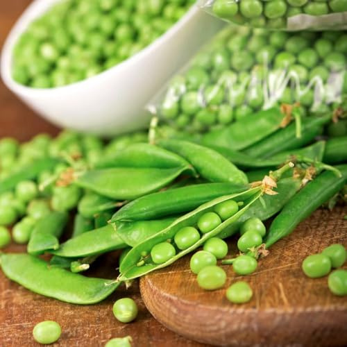 erbsensamen bio, balkon garten exotische indoor 35pcs