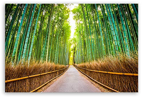 ge Bildet Bild auf Leinwand | Bambus Wald in Kyoto - Japan - natur blumen grün J in 120x80 cm als Wandbild XXL | Wand-deko Dekoration Wohnung modern Bilder | 2213