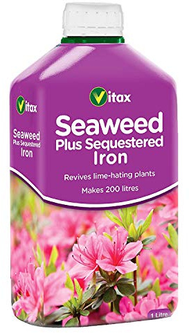 Vitax Ltd 2 x Seaweed Plus Sequestered Iron