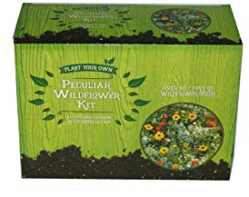 Peculiar Wildflower kit - Wild Flower Seed Mix Annual Meadow Plants Attracts Bees & Butterfly (250g Mais Granulate - 22.5g Wildflower Seeds)