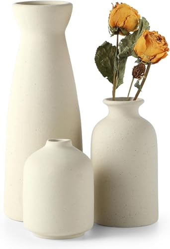 Sawoake Beige Keramik Vasen 3er-Set Kleine Blumenvasen für Dekor, Moderne rustikale Bauernhaus Home Decor, Dekorative Vasen für Pampas Grass Idee Regal (Beige)