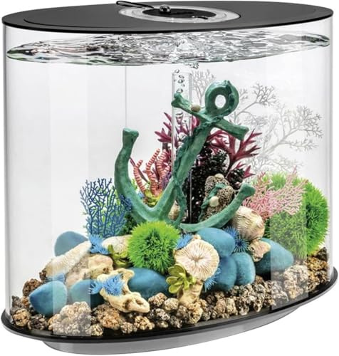 biOrb Loop 30 MCR schwarz - Aquarium, für einzigartige Dekorationsvarianten, mit patentiertem Filtersystem