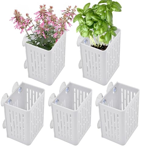 Portalpiante per Vasche per Pesci - Set di 5 Vasi con Ventose - Supporto per Pothos in Acquario | per Coltivazione e Acquaponica di Pothos e Narcisi