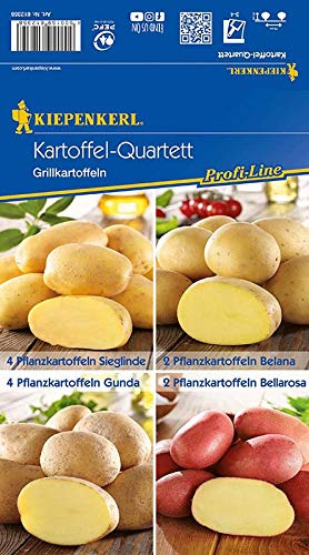 Kiepenkerl 612358 Grillkartoffel Mix (12 Stück) (Pflanzkartoffeln)