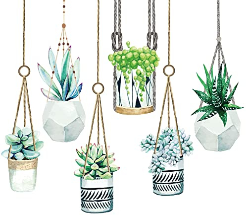 6 Fensteraufkleber Hänge-Pflanzen auf klarer Folie I 6er Set I Blumen-Ampel l Glas-Aufkleber I Doppelseitig und selbstklebend I Fenster-bild Vogelschutz I dv1049