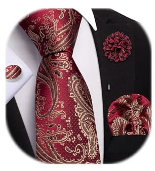 Dubulle Dark Red Paisley Tie and Lapel Pin 4PCS Set for Men Wine Red Silk Formal Necktie Pocket Square Cufflinks Wedding Party