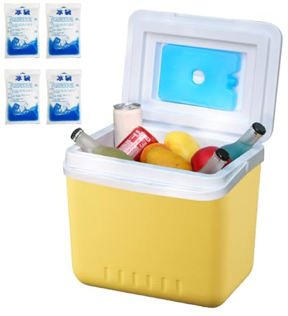 6L Kühlbox, Isolierte Kühlbox mit 4 Kühlakkus & 1 Eisbox, auslaufsicher, tragbarer Aufbewahrungsbehälter, Gefrierschrank für Reisen, Picknick, Camping