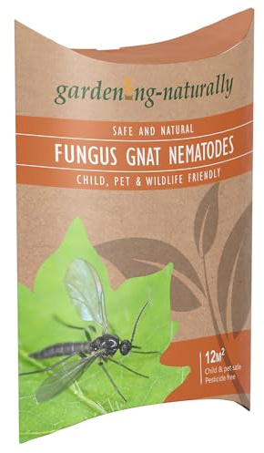 Fungus Gnat Nematodes for Houseplants and Indoor Plants – Natural Soil Drench Treatment for Fungus Gnat Larvae in Compost – Treats up to 12 sq.m