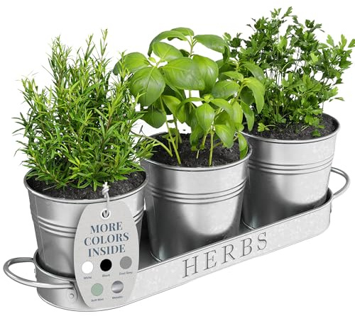 Barnyard Designs Juego de macetas para hierbas con bandeja para uso en interiores o exteriores, macetas decorativas de metal galvanizado para suculentas para cocina, (juego de 3, macetas de 11 x 10 cm