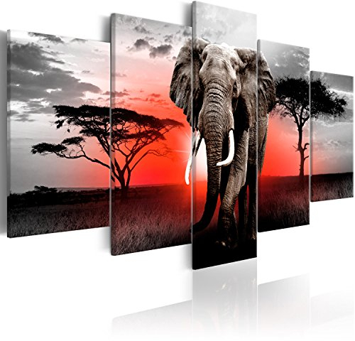 murando - Wandbilder XXL Afrika 225x112cm 5 tlg - Wand Deko Leinwand Bilder Groß Wanddeko Wohnzimmer Schlafzimmer Kunstdrucke - Landschaft Tier Elefant g-C-0054-b-p